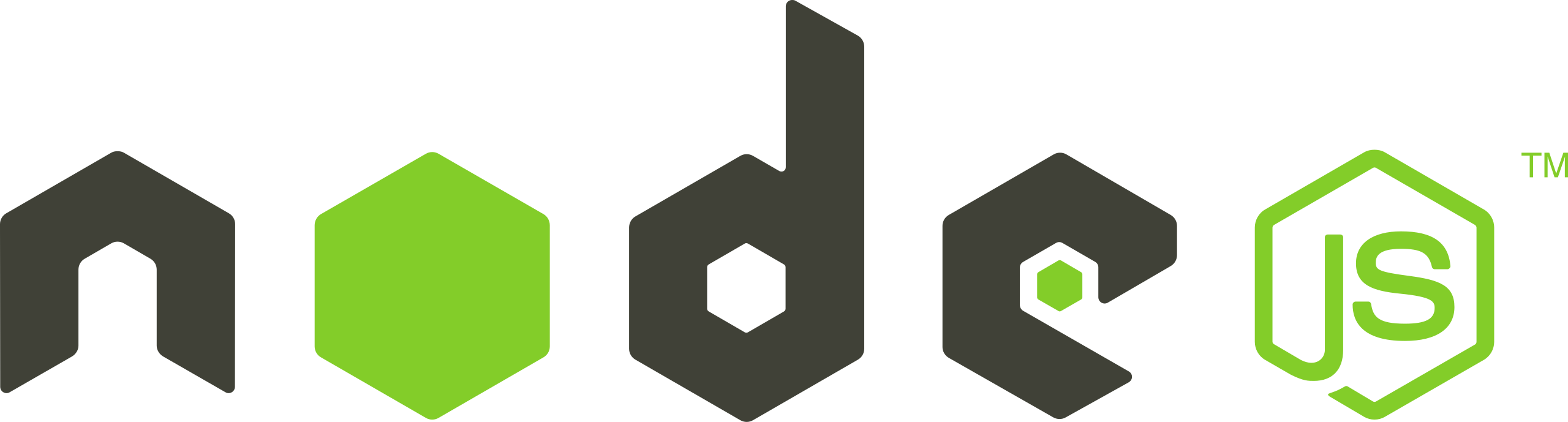 Node.js technology partner